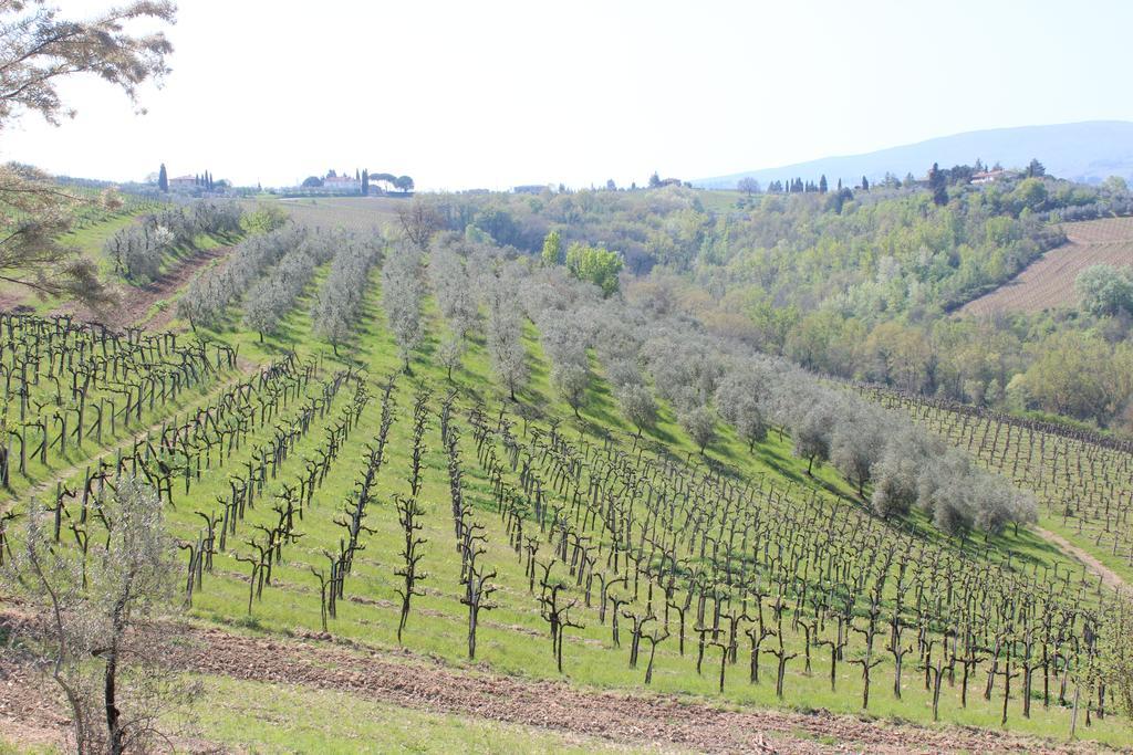 Bio Agriturismo Podere Pretoia San Gimignano Kültér fotó