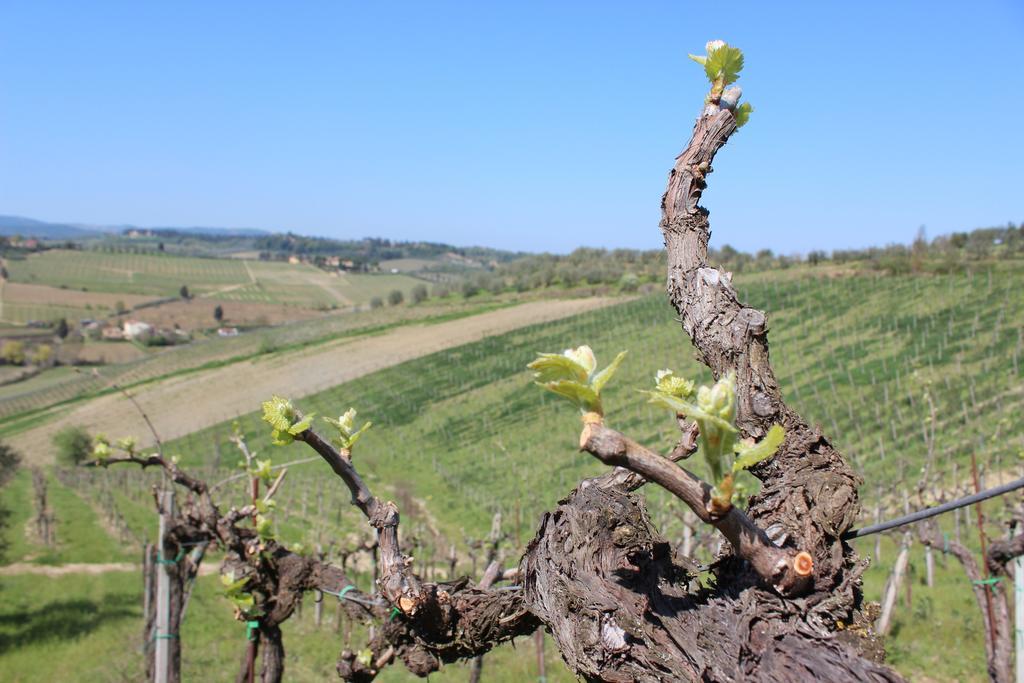 Bio Agriturismo Podere Pretoia San Gimignano Kültér fotó