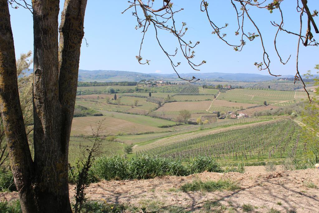 Bio Agriturismo Podere Pretoia San Gimignano Kültér fotó